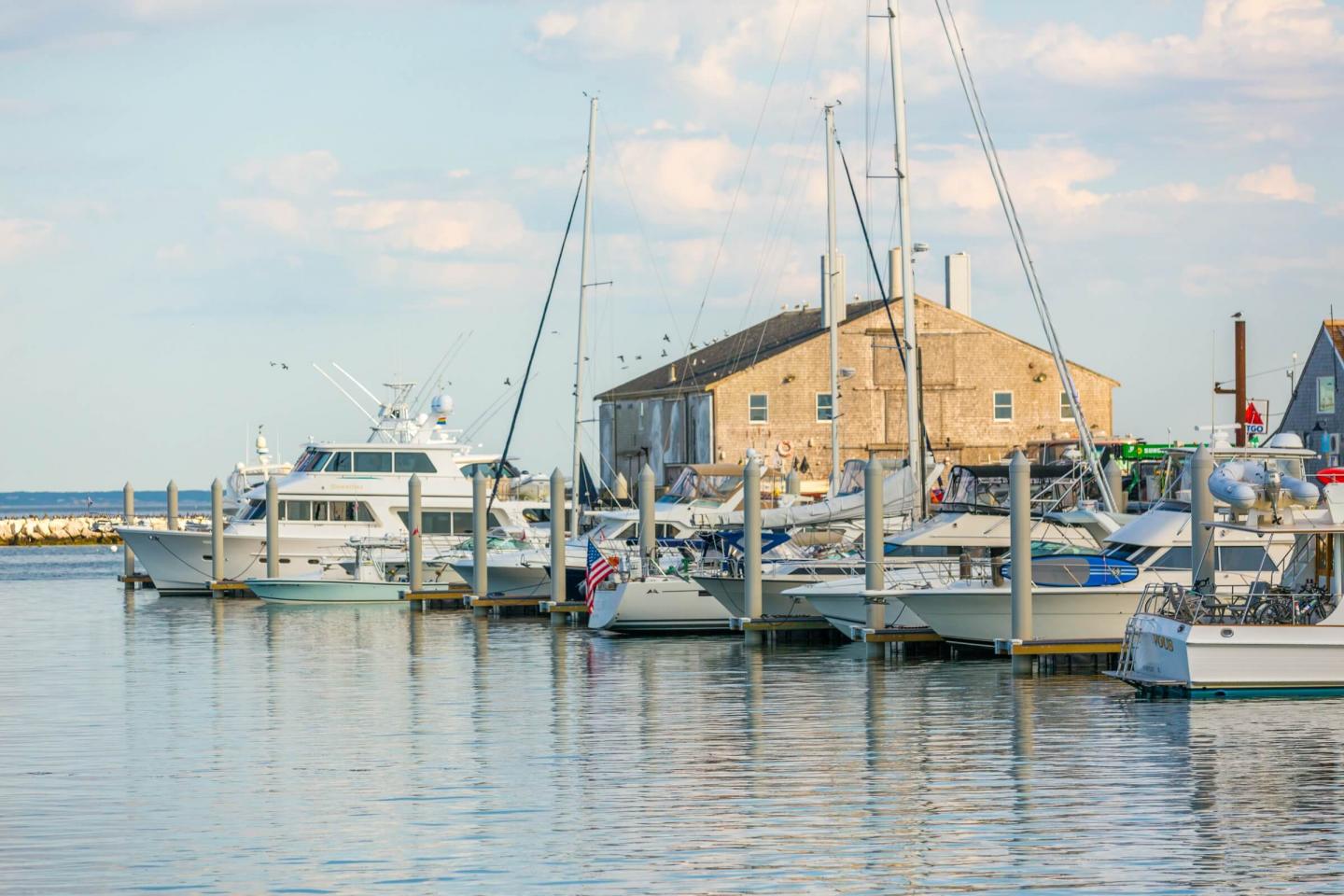 Provincetown Gallery 12