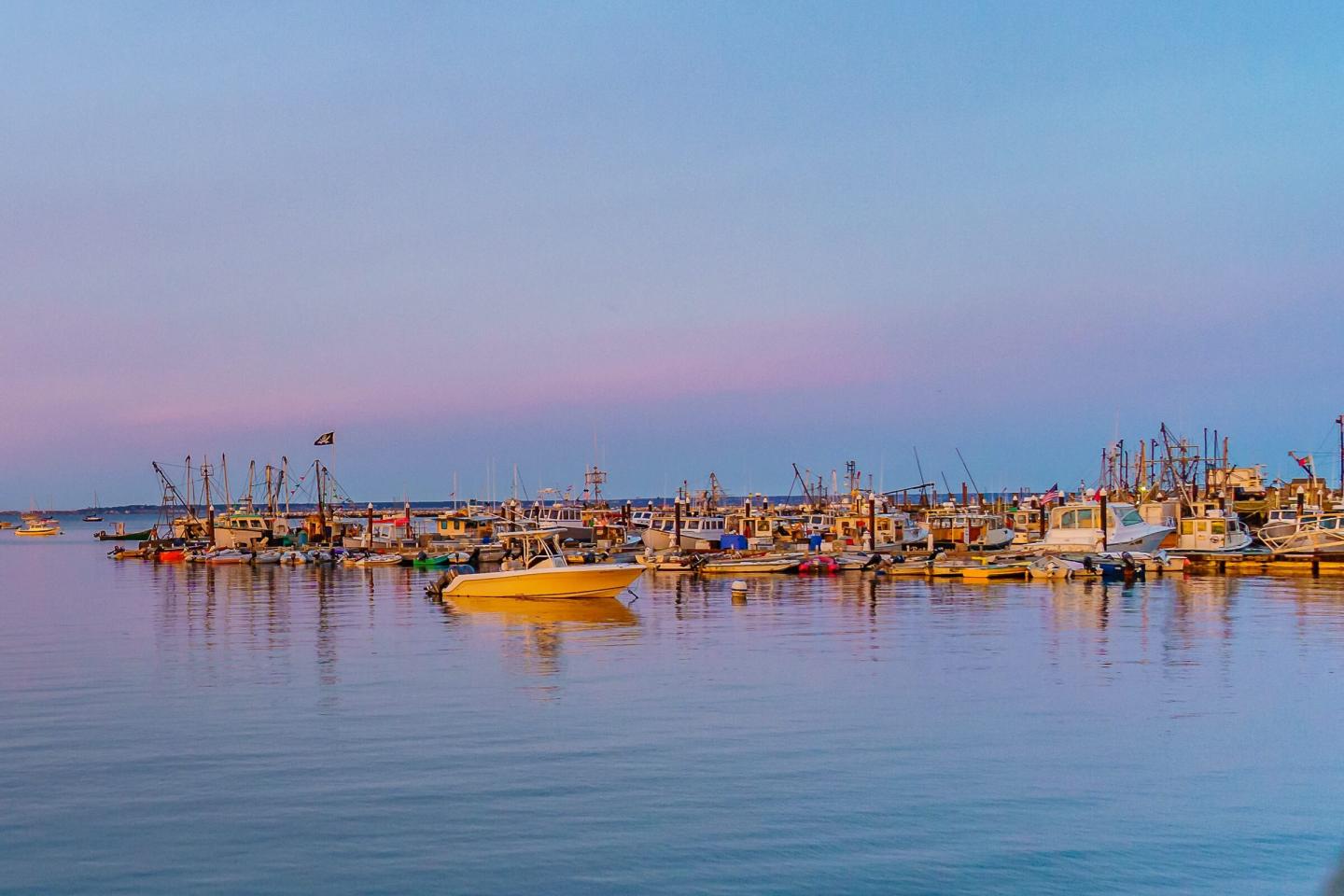 Provincetown Gallery 5