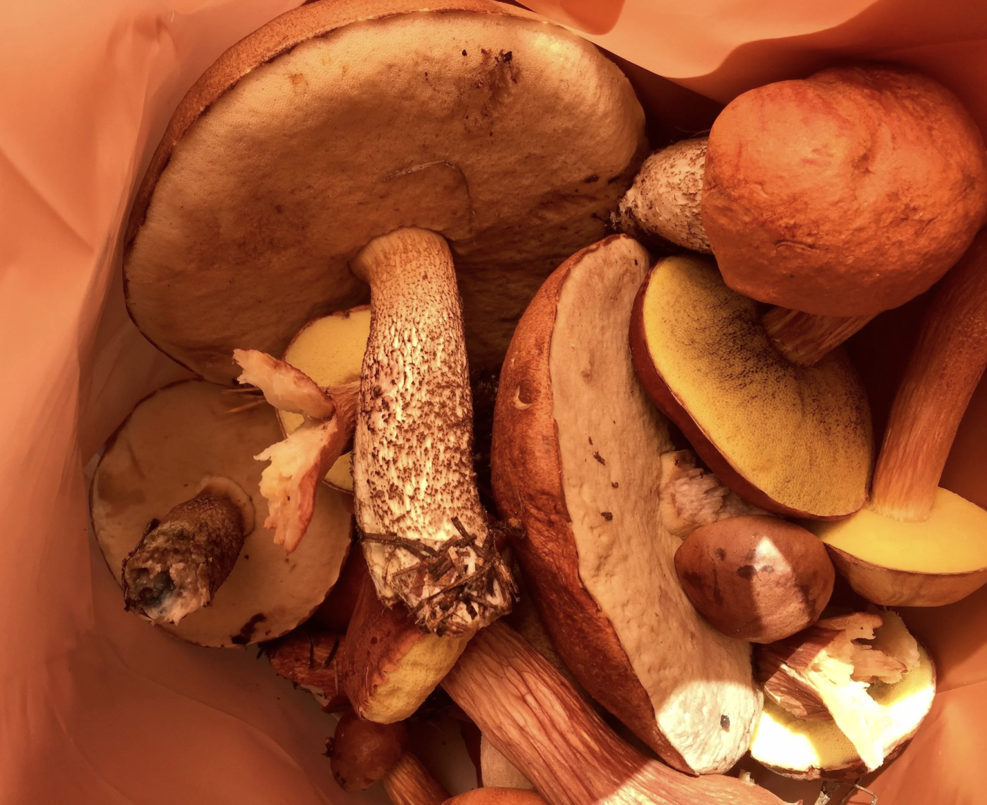 Fresh ingredients for dinner at Ceraldi