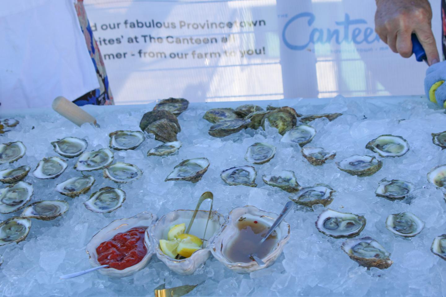 Fresh Provincetown Oysters