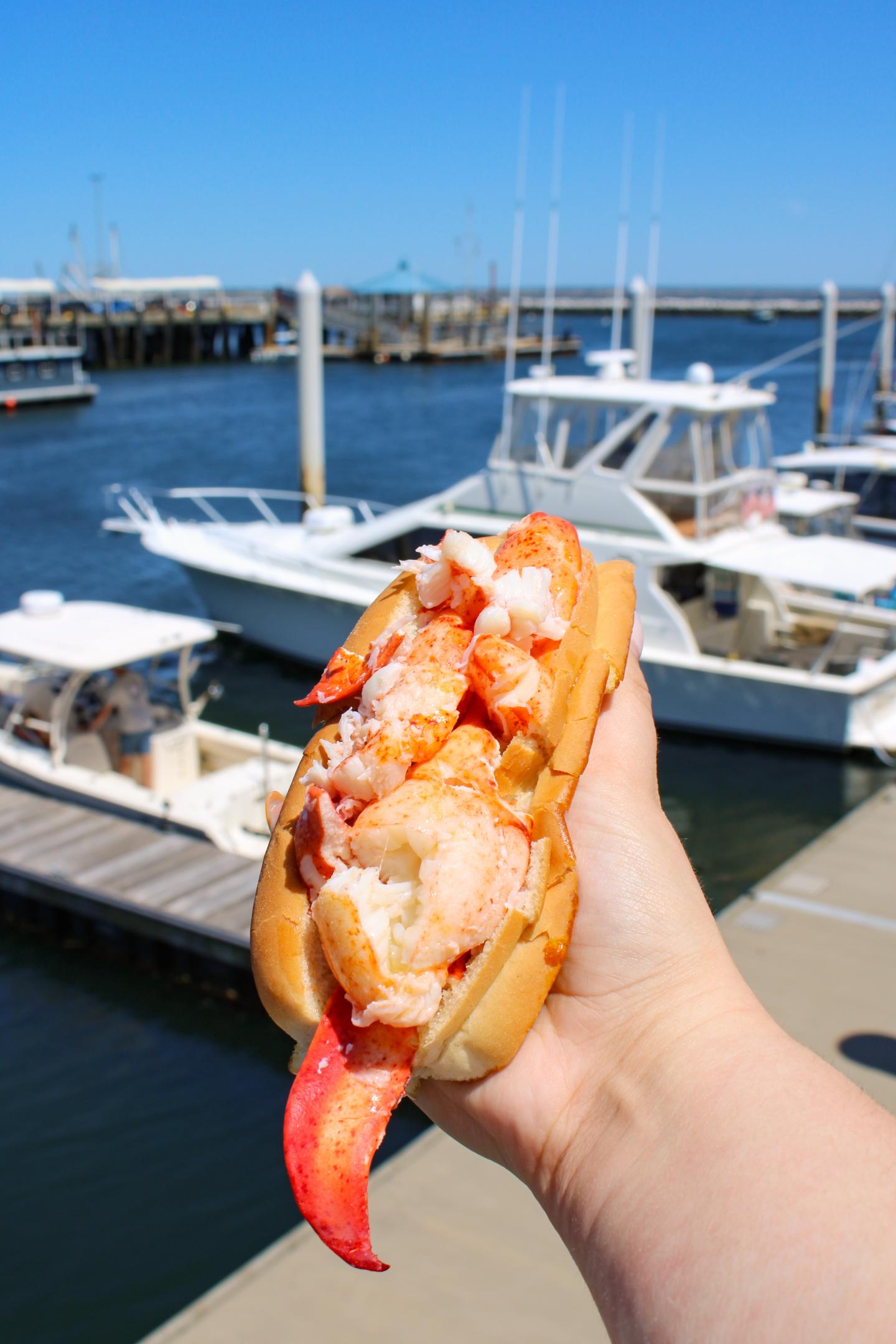 Lobster roll